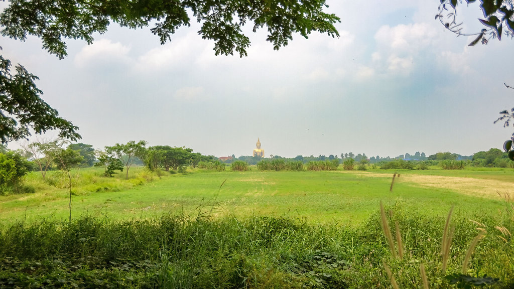 20220418-111941-THA-6639-HDR.jpg