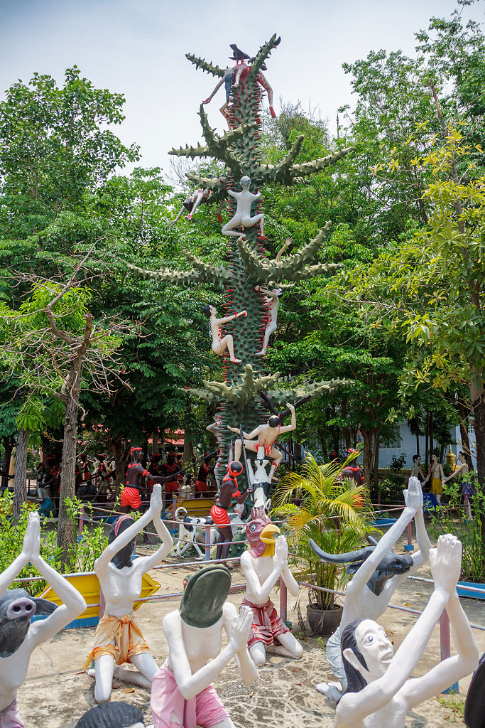 20220418-121338-THA-6715-HDR.jpg