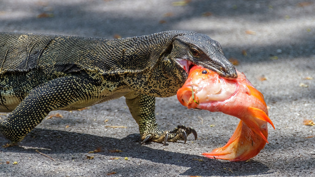 25.04. - 27.04.: Bangkok