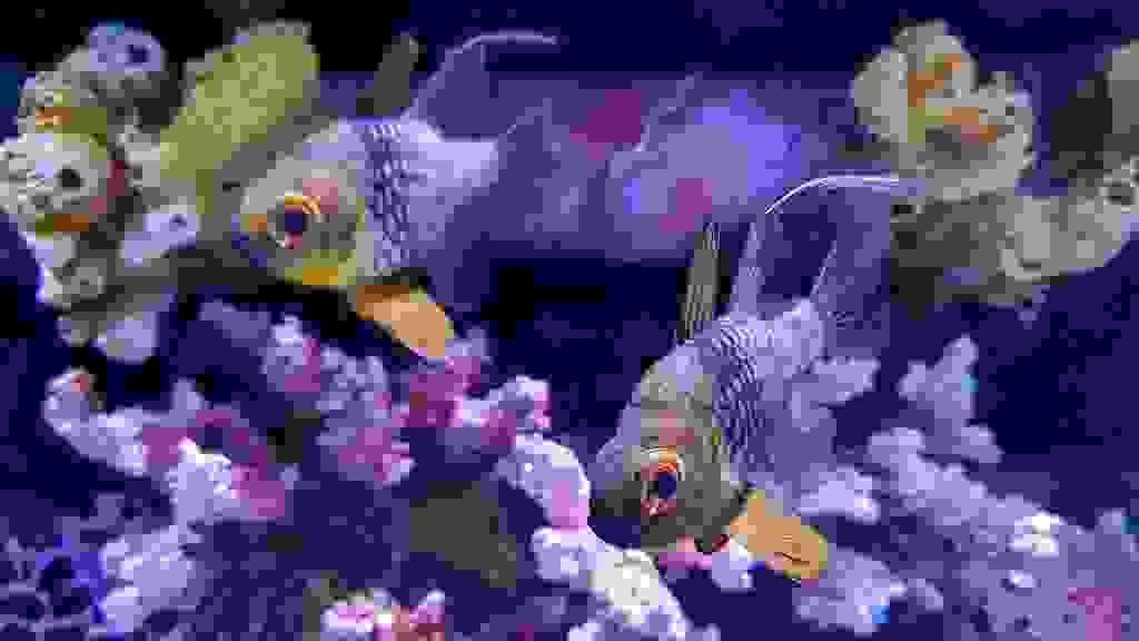 20220425-160552-20220425-160551.jpg