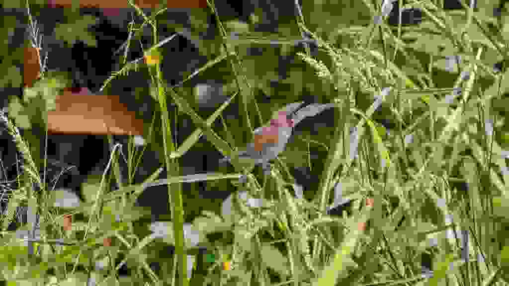 20220428-130151-IND-0019.jpg