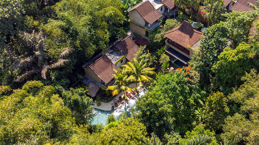 20220429-103942-DJI-0374-HDR.jpg