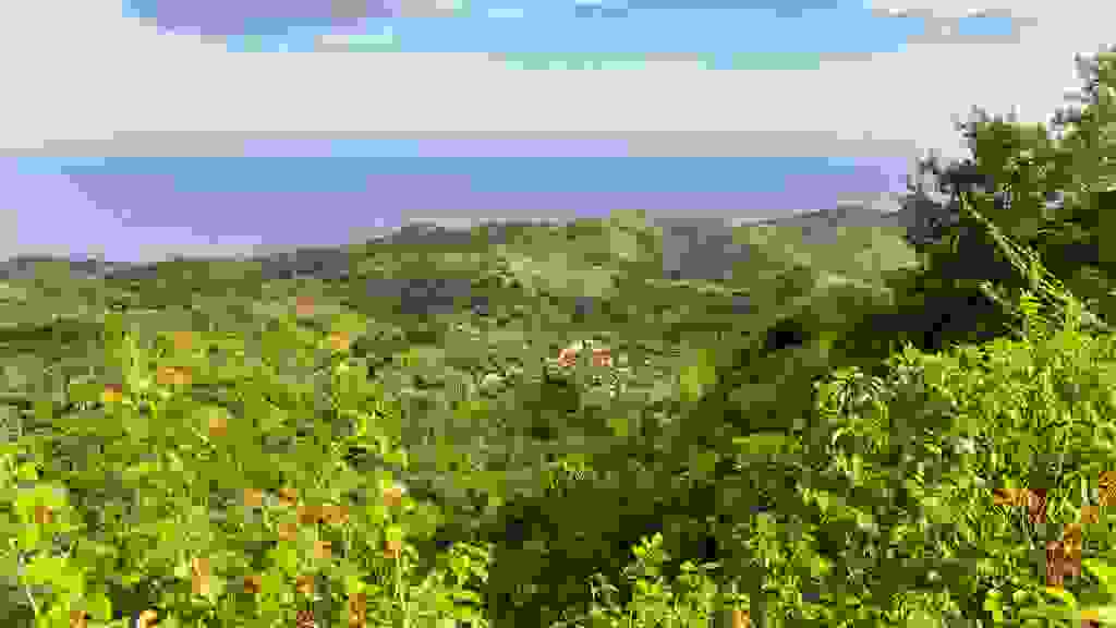 20220503-161759-IND-0329.jpg