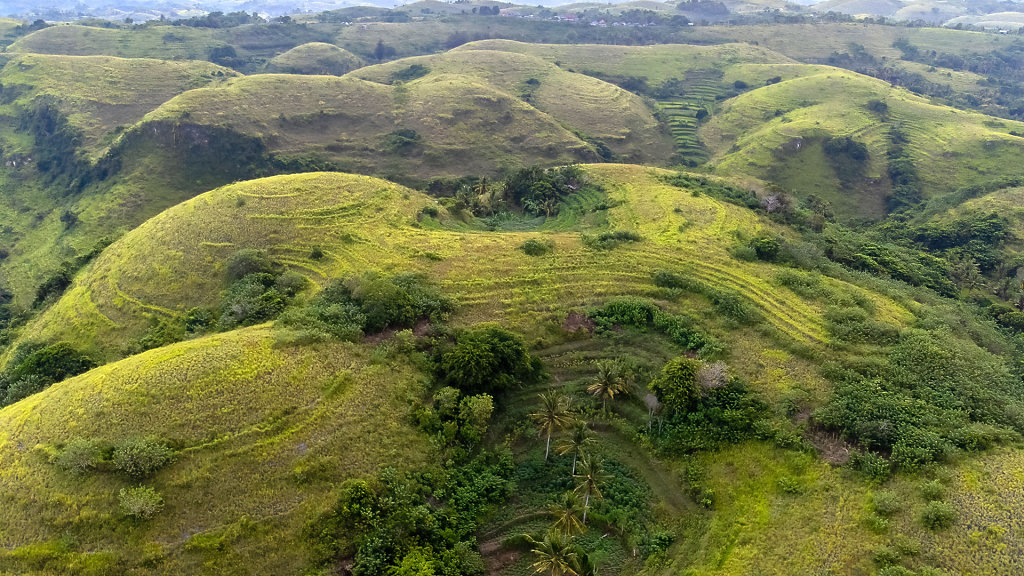 20220503-163552-DJI-0610-HDR.jpg