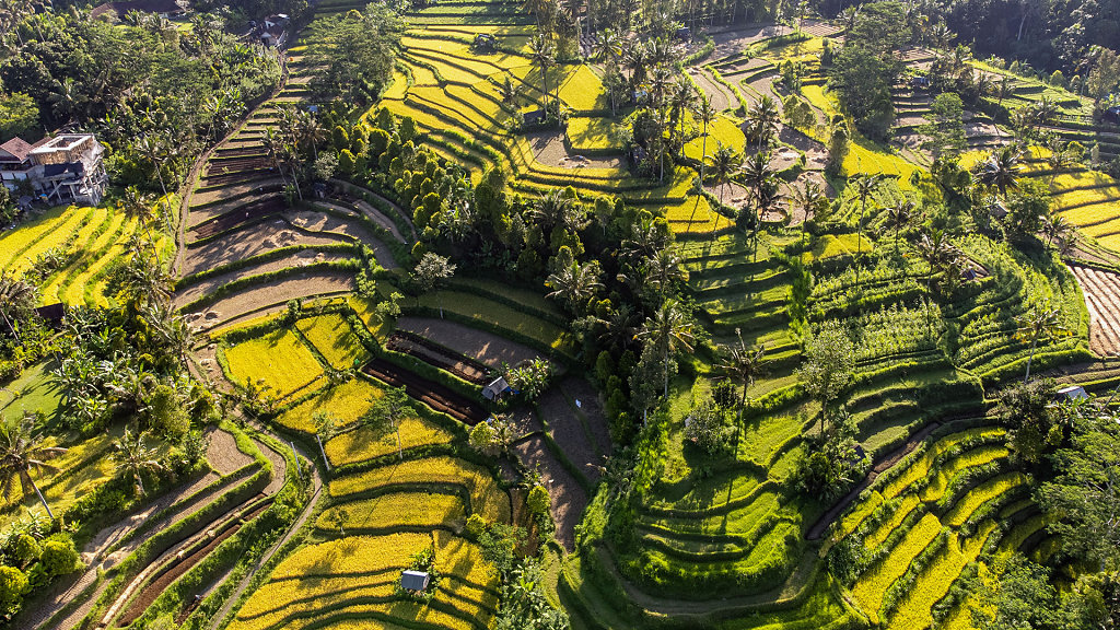 20220507-161118-DJI-0790-HDR.jpg