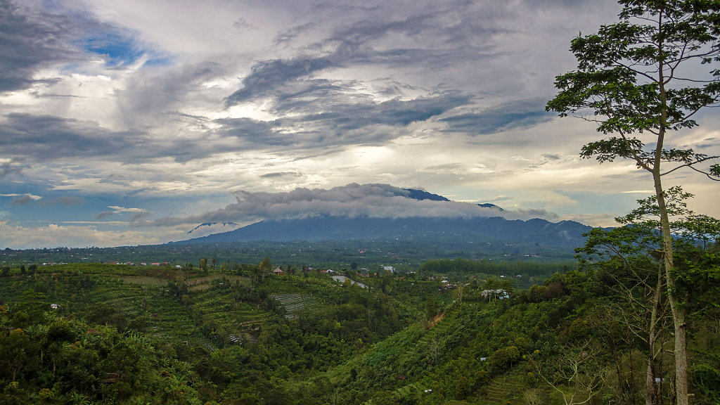 20220508-154303-IND-0993-HDR.jpg