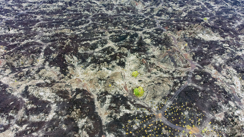 20220508-164700-DJI-0933-HDR.jpg