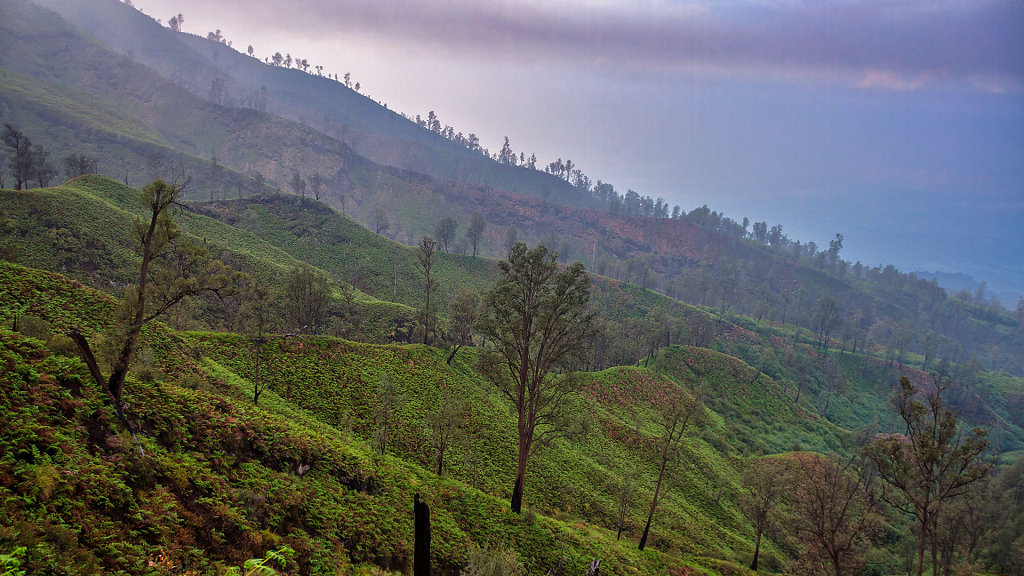20220512-070302-IND-1432-HDR.jpg