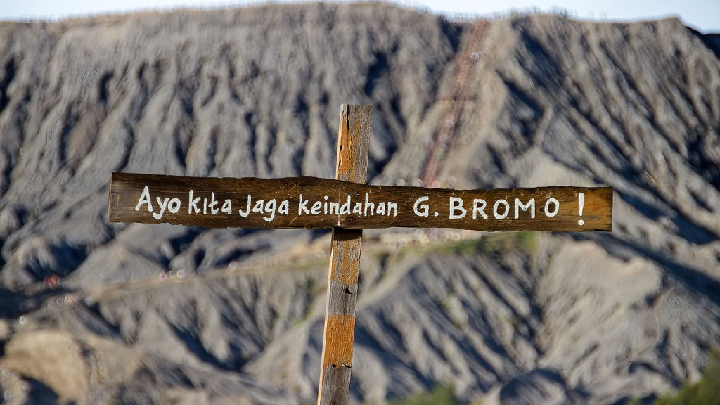 20220515-064442-IND-1715.jpg