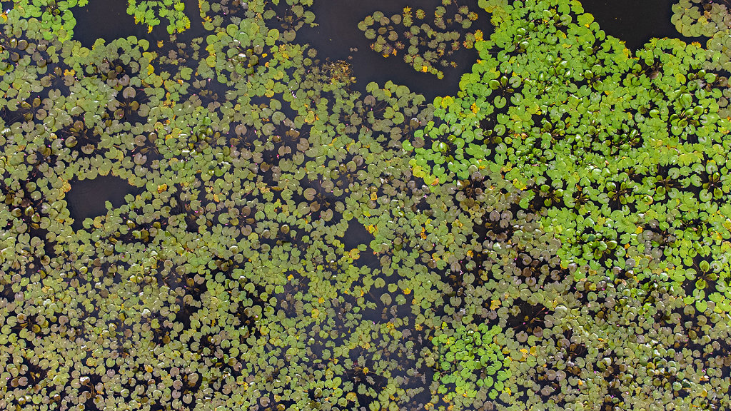 20220514-140320-DJI-0190-HDR.jpg