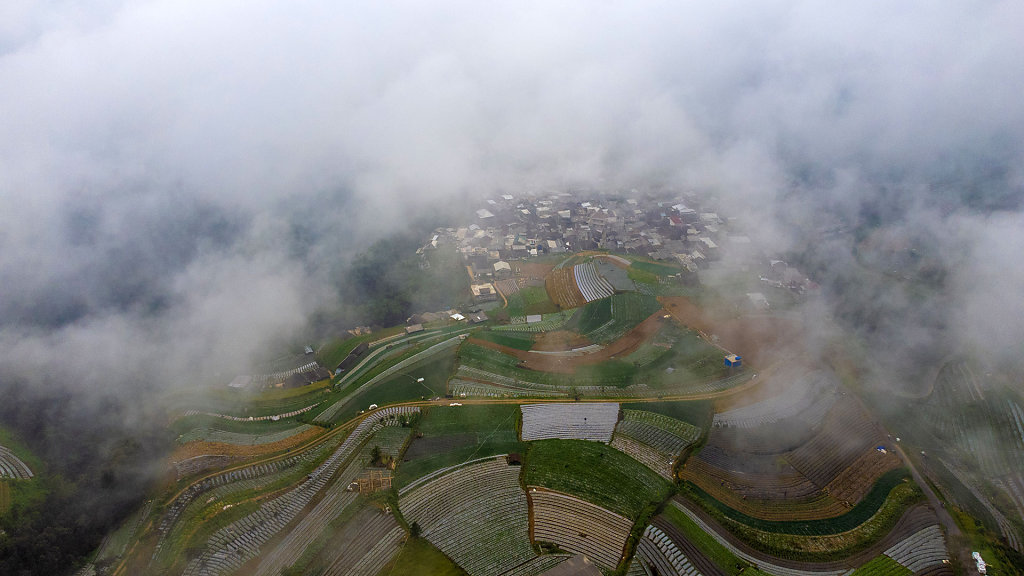 20220518-105539-DJI-0415.jpg