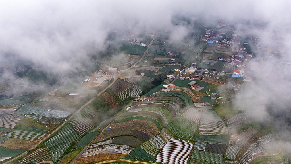 20220518-105628-DJI-0416.jpg