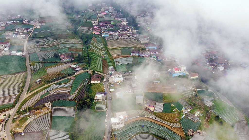 20220518-105708-DJI-0418-1.jpg