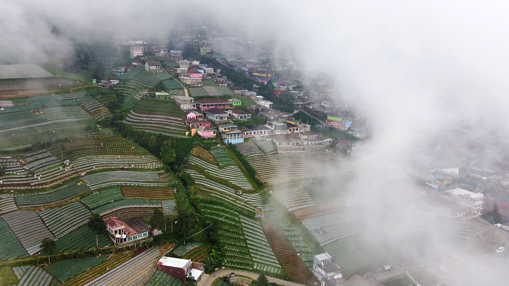 20220518-105708-DJI-0418-4.jpg