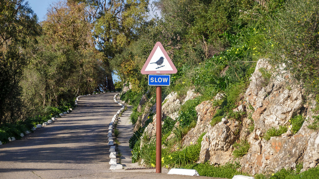 20230115-154853-ROAD0307.jpg