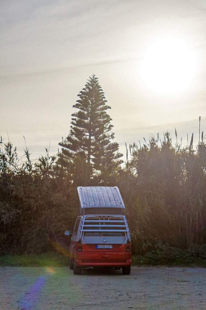 20230116-094836-ROAD0537-HDR.jpg