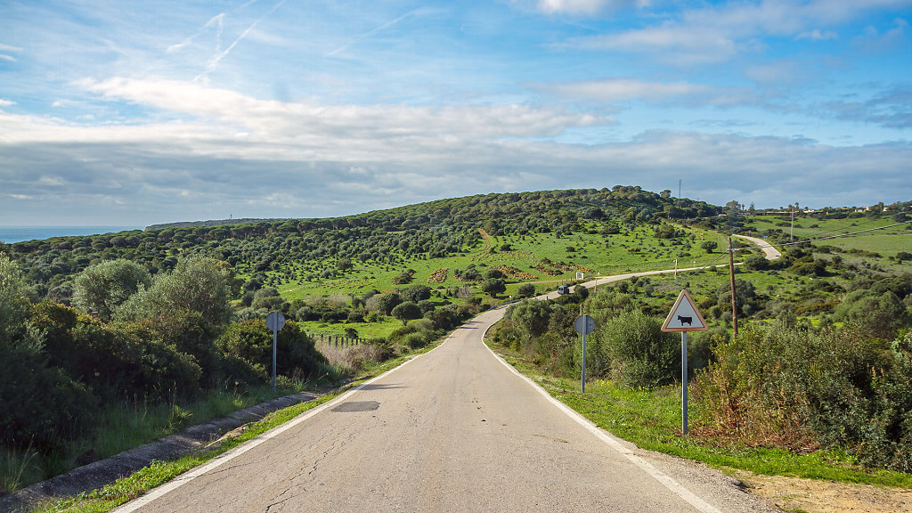 20230116-121253-ROAD0620.jpg