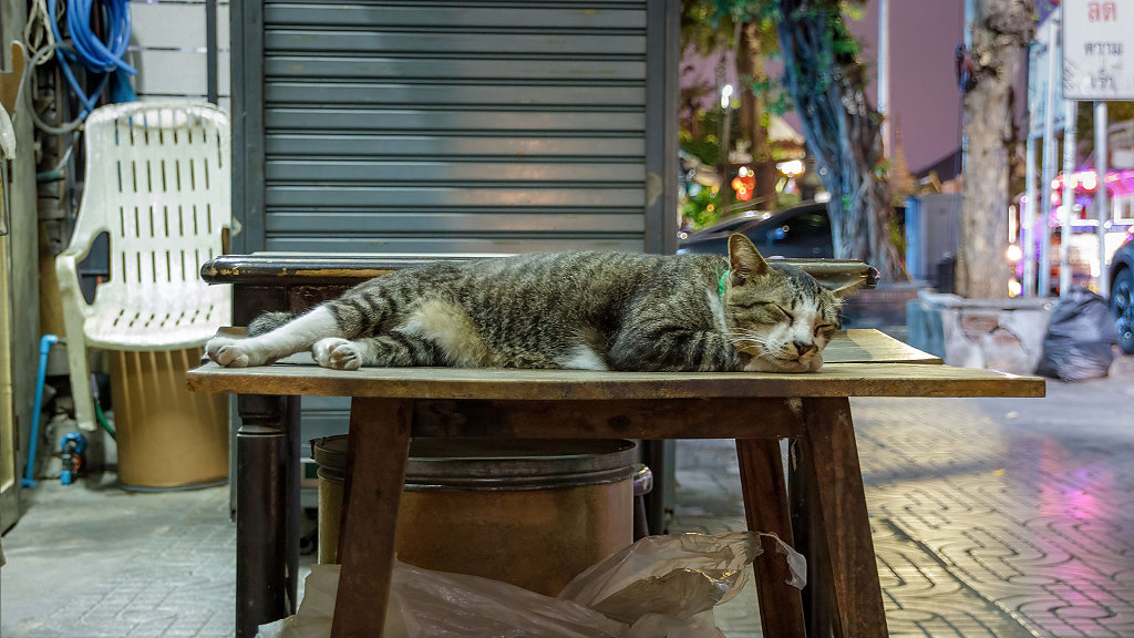 20230210-184835-THAI0088.jpg