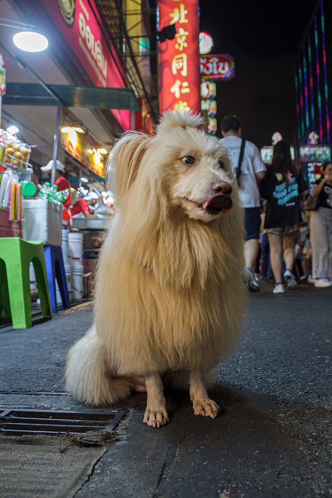 Chinatown 