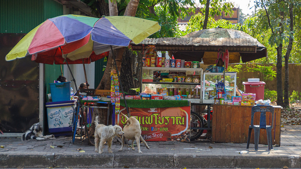 20230213-154525-THAI0873.jpg