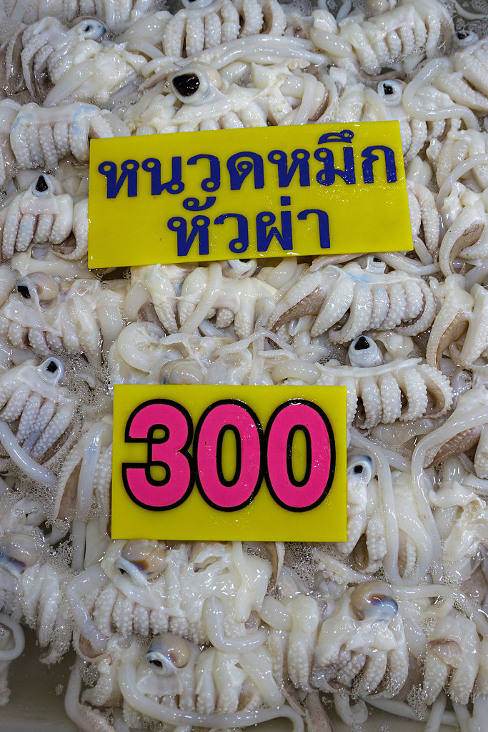 20230215-120946-THAI0893.jpg