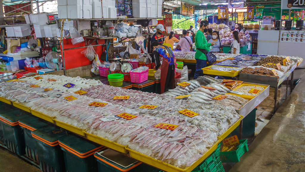 20230215-122911-THAI0925.jpg