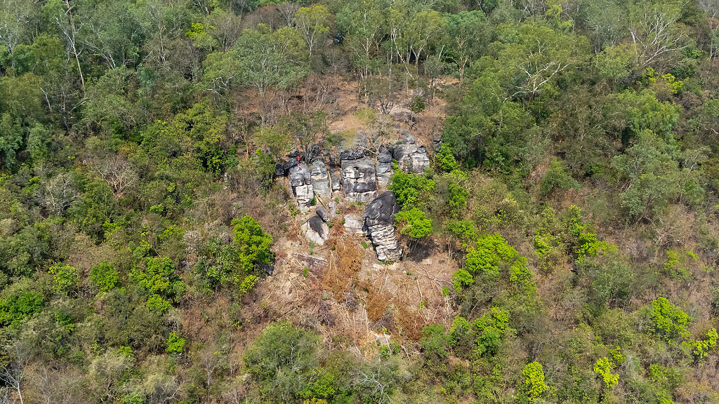 20230218-132154-DJI-0659-HDR.jpg
