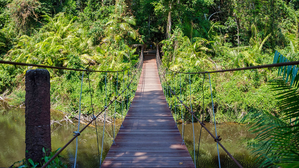 20230221-131123-THAI2068-HDR.jpg