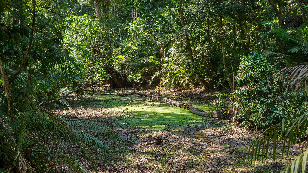 20230221-133746-THAI2089-HDR.jpg