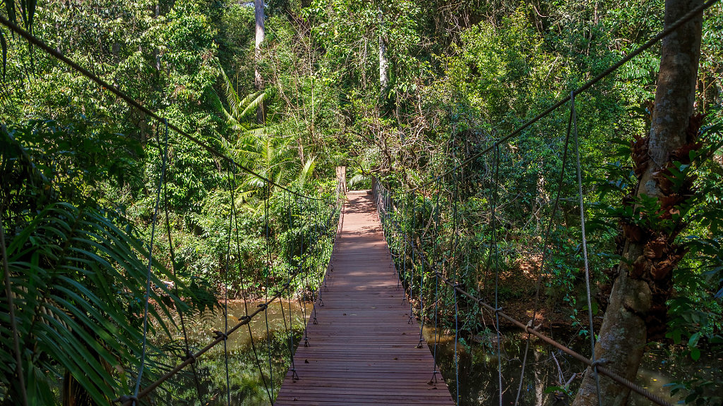 20230221-134026-THAI2096-HDR.jpg