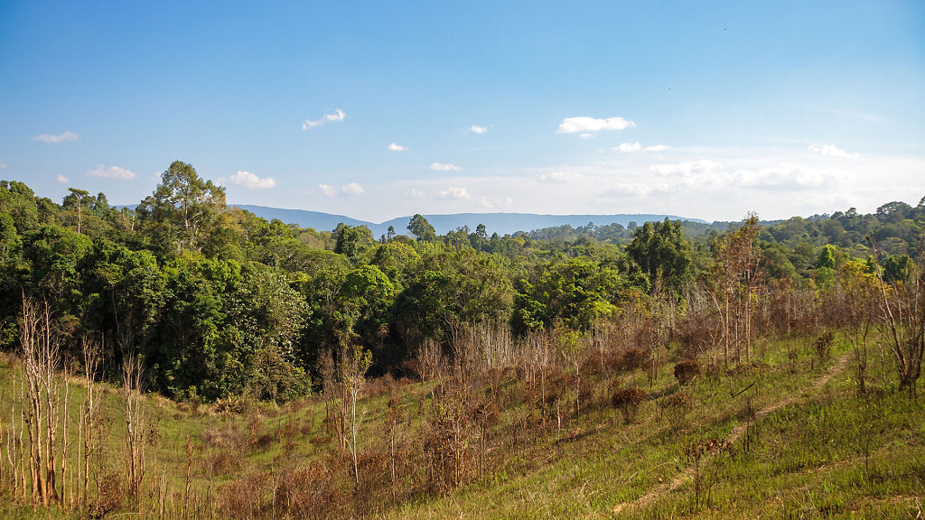 Nong Phak Chi Wildlife Watching Tower
