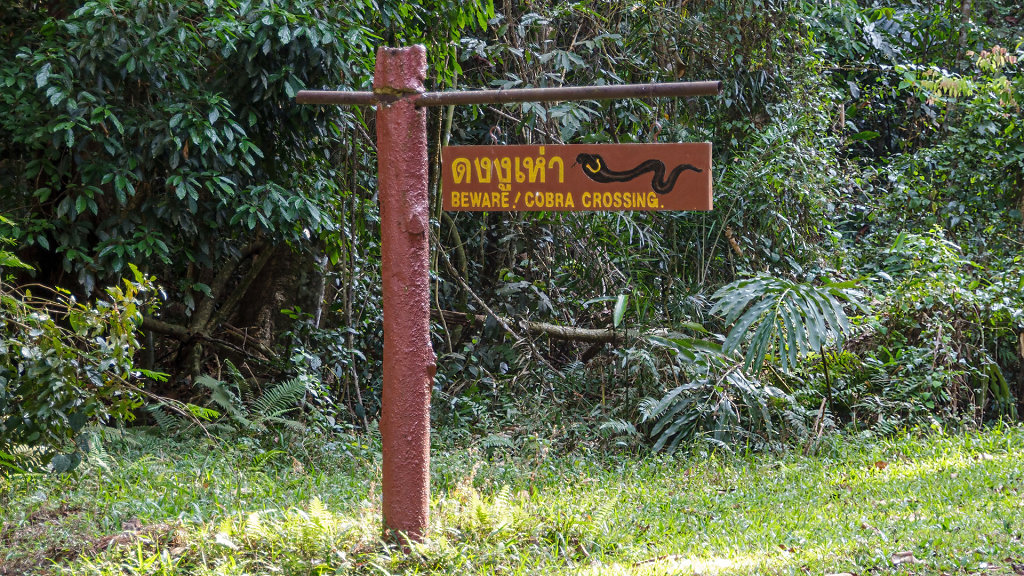 20230221-160330-THAI2145.jpg