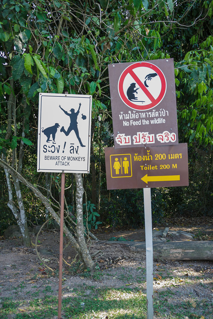 Khao Yai 30 KM. View Point