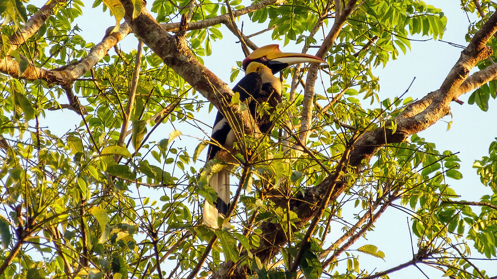 21.02.2023: Nakhon Nayok & Nakhon Ratchasima Province