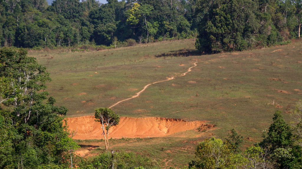 Nong Phak Chi Wildlife Watching Tower