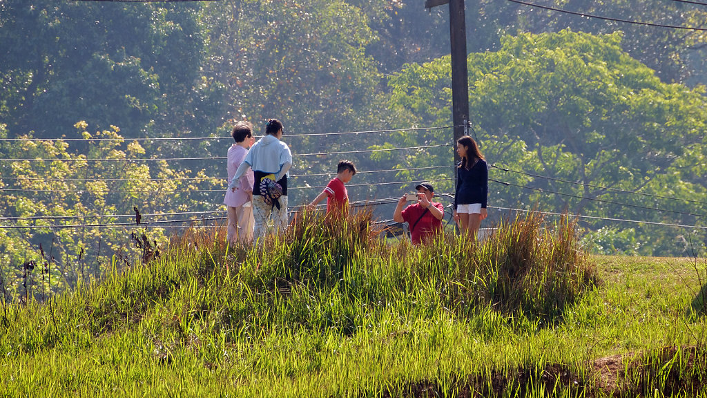 Nong Phak Chi Wildlife Watching Tower