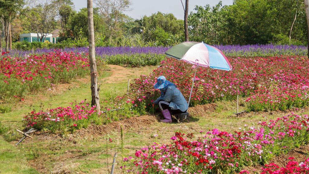 Flowers Village Khaoyai