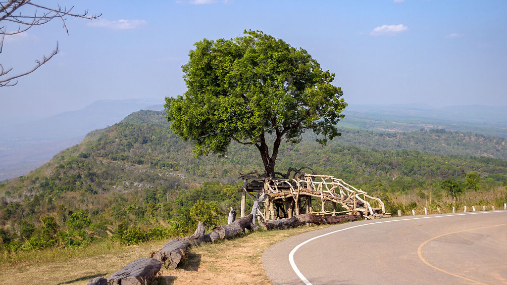 20230225-152431-THAI3173-HDR.jpg