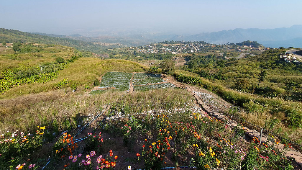Wat Pa Phu Thap Boek