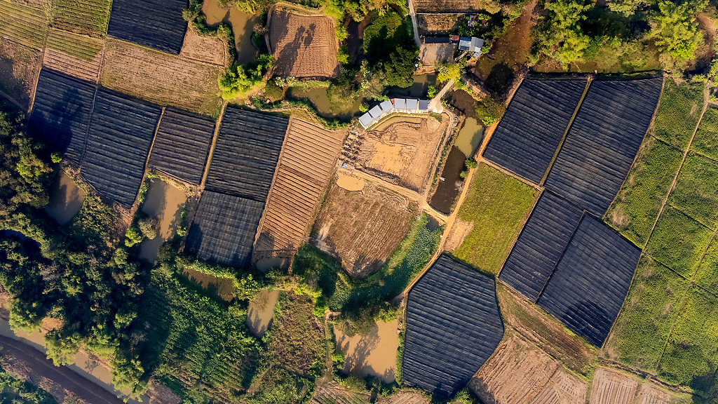 20230227-082029-DJI-0418-HDR.jpg