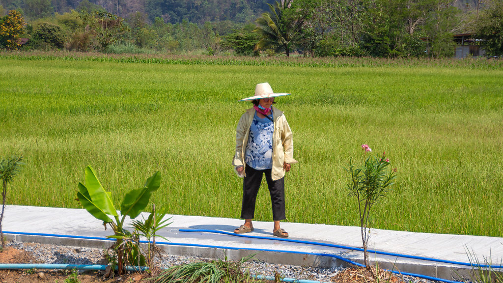 20230228-140153-THAI3413.jpg