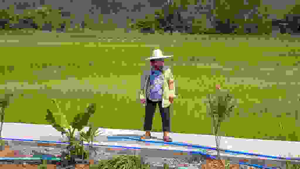 20230228-140153-THAI3413.jpg