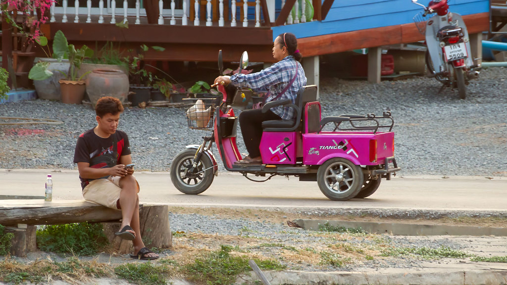 Bat Sighting Point // จุดชมค้างคาว