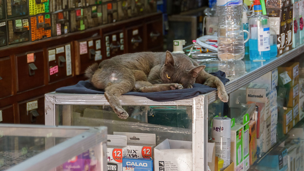 20230301-162343-THAI3570.jpg