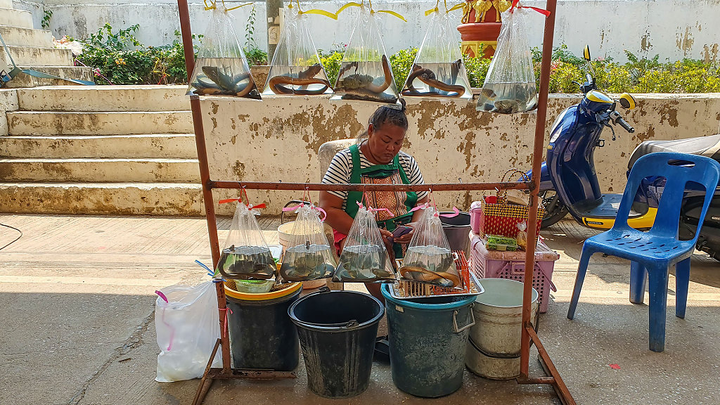 Sukhothai Night Market