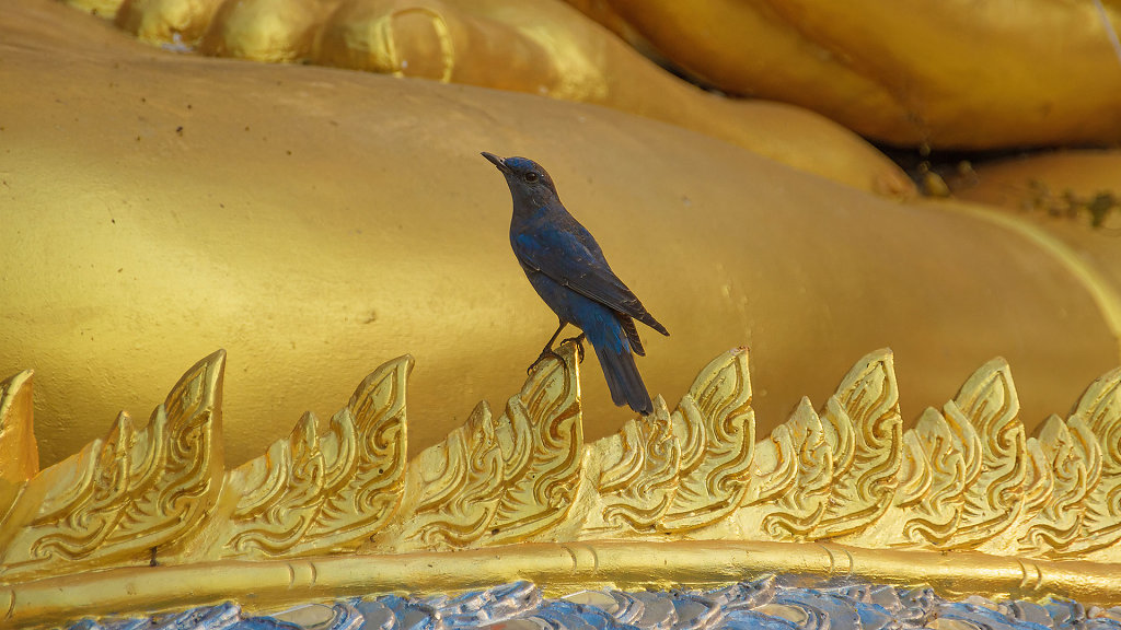 04.03.2023: Phrae Province