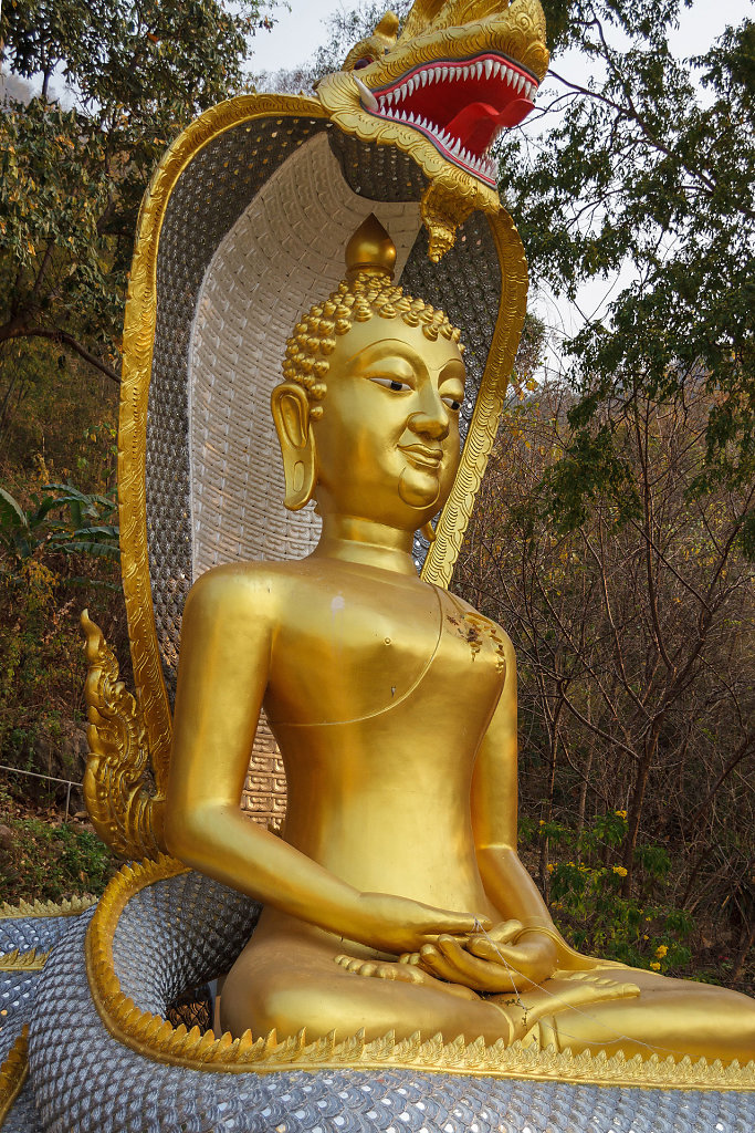 20230304-164407-THAI4095.jpg