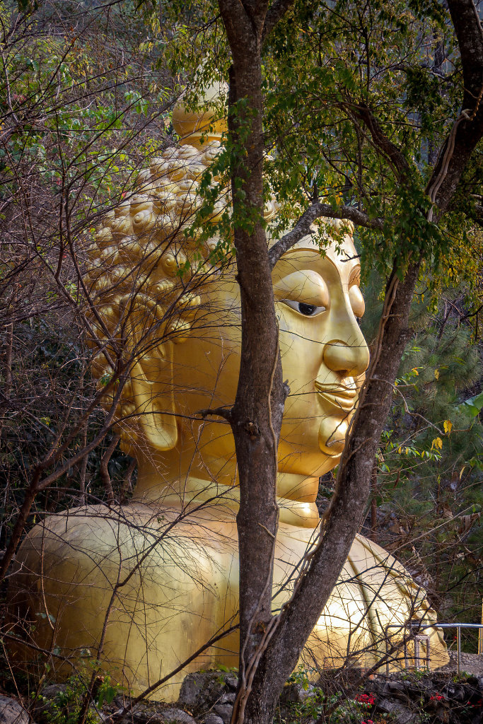 20230304-164422-THAI4096.jpg