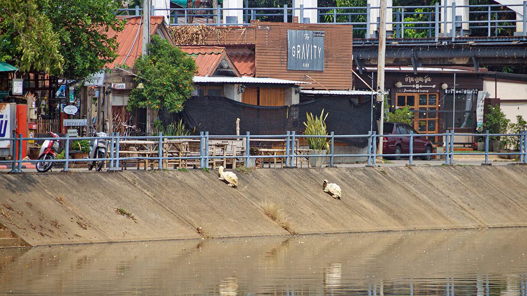 20230305-132314-THAI4147.jpg