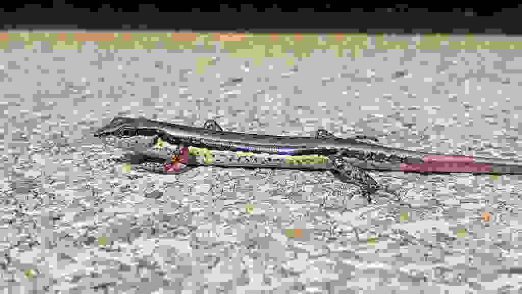 20230307-100407-20230307-100407.jpg